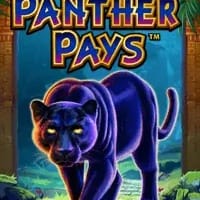 Panther Pays